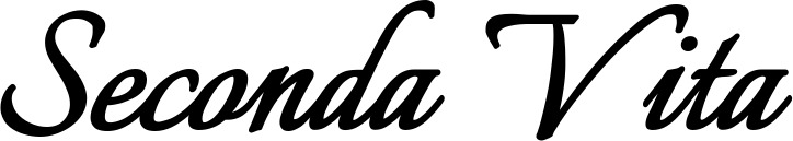 Vorschau des Bootsnamens "Seconda Vita" als Schriftzug für "Bootsbeschriftung Klassisch 58"