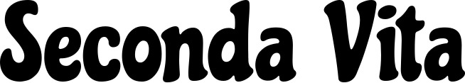 Vorschau des Bootsnamens "Seconda Vita" als Schriftzug für "Bootsbeschriftung Klassisch 53"