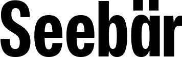 Bootsname 'Seebär' angezeigt als 'Bootsbeschriftung Fett 25'