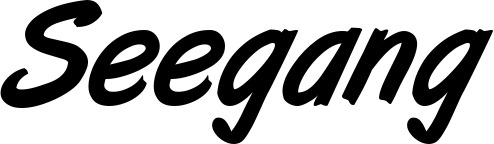 Vorschau des Bootsnamens "Seegang" als Schriftzug für "Bootsbeschriftung Klassisch 38"