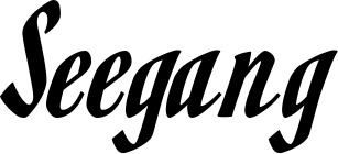 Vorschau des Bootsnamens "Seegang" als Schriftzug für "Bootsbeschriftung Klassisch 93"