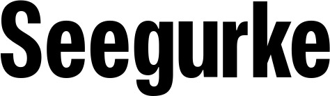 Vorschau des Bootsnamens "Seegurke" als Schriftzug für "Bootsbeschriftung Fett 25"