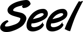 Vorschau des Bootsnamens "Seel" als Schriftzug für "Bootsbeschriftung Klassisch 38"