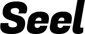 Vorschau des Bootsnamens "Seel" als Schriftzug für "Bootsbeschriftung Kursiv 04"