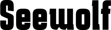 Vorschau des Bootsnamens "Seewolf" als Schriftzug für "Style Fett 41"