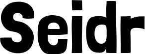 Vorschau des Bootsnamens "Seidr" als Schriftzug für "Bootsbeschriftung Neu 52"