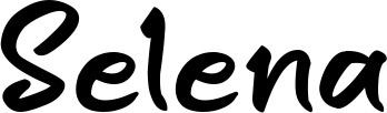 Vorschau des Bootsnamens "Selena" als Schriftzug für "Bootsbeschriftung Klassisch 95"