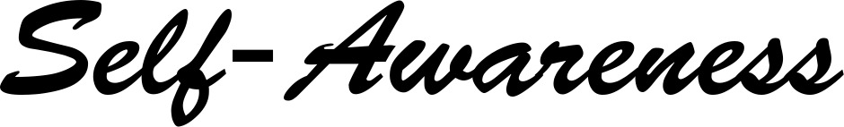 Vorschau des Bootsnamens "Self-Awareness" als Schriftzug für "Bootsbeschriftung Klassisch 03"