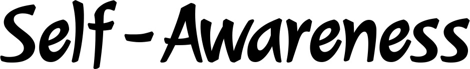 Vorschau des Bootsnamens "Self-Awareness" als Schriftzug für "Bootsbeschriftung Klassisch 72"