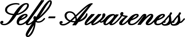 Vorschau des Bootsnamens "Self-Awareness" als Schriftzug für "Style Klassisch 107"