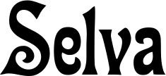 Vorschau des Bootsnamens "Selva" als Schriftzug für "Bootsbeschriftung Neu 44"