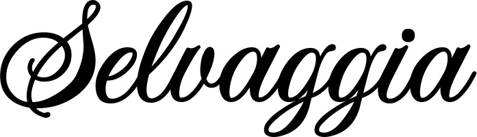 Vorschau des Bootsnamens "Selvaggia" als Schriftzug für "Bootsbeschriftung Klassisch 70"