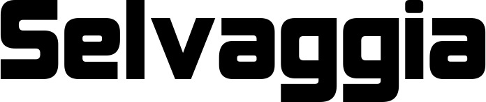 Vorschau des Bootsnamens "Selvaggia" als Schriftzug für "Bootsbeschriftung Neu 25"
