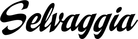 Vorschau des Bootsnamens "Selvaggia" als Schriftzug für "Bootsbeschriftung Klassisch 29"