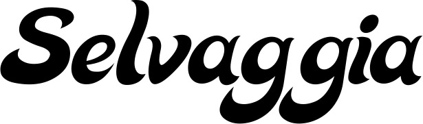 Vorschau des Bootsnamens "Selvaggia" als Schriftzug für "Bootsbeschriftung Klassisch 33"