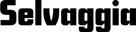 Vorschau des Bootsnamens "Selvaggia" als Schriftzug für "Bootsbeschriftung Neu 11"