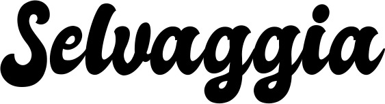 Vorschau des Bootsnamens "Selvaggia" als Schriftzug für "Bootsbeschriftung Klassisch 41"