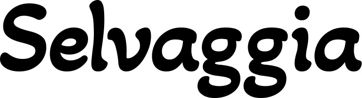 Vorschau des Bootsnamens "Selvaggia" als Schriftzug für "Bootsbeschriftung Klassisch 103"