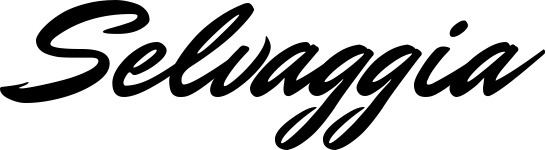 Vorschau des Bootsnamens "Selvaggia" als Schriftzug für "Bootsbeschriftung Klassisch 82"