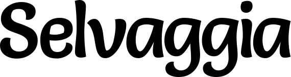 Vorschau des Bootsnamens "Selvaggia" als Schriftzug für "Bootsbeschriftung Klassisch 94"