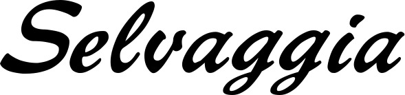 Vorschau des Bootsnamens "Selvaggia" als Schriftzug für "Bootsbeschriftung Klassisch 12"