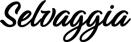 Vorschau des Bootsnamens "Selvaggia" als Schriftzug für "Bootsbeschriftung Klassisch 48"