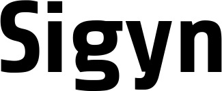 Vorschau des Bootsnamens "Sigyn" als Schriftzug für "Bootsbeschriftung Fett 37"
