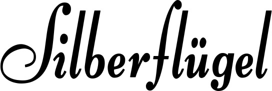 Vorschau des Bootsnamens "Silberflügel" als Schriftzug für "Bootsbeschriftung Klassisch 76"