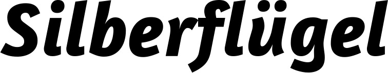 Vorschau des Bootsnamens "Silberflügel" als Schriftzug für "Style Kursiv 01"