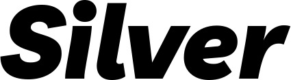 Vorschau des Bootsnamens "Silver" als Schriftzug für "Bootsbeschriftung Kursiv 06"