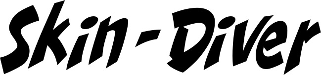 Vorschau des Bootsnamens "Skin-Diver" als Schriftzug für "Style Klassisch 31"