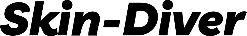 Vorschau des Bootsnamens "Skin-Diver" als Schriftzug für "Bootsbeschriftung Kursiv 06"