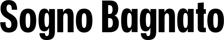 Vorschau des Bootsnamens "Sogno Bagnato" als Schriftzug für "Bootsbeschriftung Fett 25"