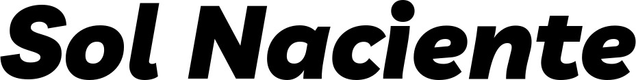 Vorschau des Bootsnamens "Sol Naciente" als Schriftzug für "Bootsbeschriftung Kursiv 06"