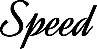 Bootsname 'Speed' angezeigt als 'Bootsbeschriftung Klassisch 44'
