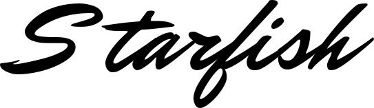 Bootsname 'Starfish' angezeigt als 'Bootsbeschriftung Klassisch 82'