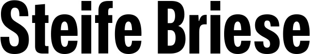 Vorschau des Bootsnamens "Steife Briese" als Schriftzug für "Bootsbeschriftung Fett 25"