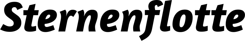 Vorschau des Bootsnamens "Sternenflotte" als Schriftzug für "Bootsbeschriftung Kursiv 01"