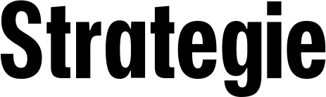 Vorschau des Bootsnamens "Strategie" als Schriftzug für "Style Fett 25"