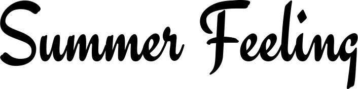 Vorschau des Bootsnamens "Summer Feeling" als Schriftzug für "Style Klassisch 63"