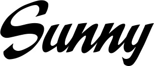 Vorschau des Bootsnamens "Sunny" als Schriftzug für "Bootsbeschriftung Klassisch 29"
