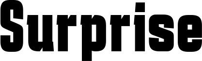 Vorschau des Bootsnamens "Surprise" als Schriftzug für "Style Fett 41"