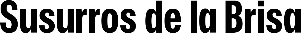 Vorschau des Bootsnamens "Susurros de la Brisa" als Schriftzug für "Bootsbeschriftung Fett 25"