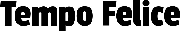 Vorschau des Bootsnamens "Tempo Felice" als Schriftzug für "Bootsbeschriftung Fett 30"
