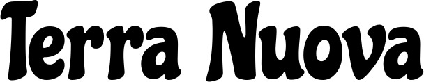 Vorschau des Bootsnamens "Terra Nuova" als Schriftzug für "Bootsbeschriftung Neu 41"