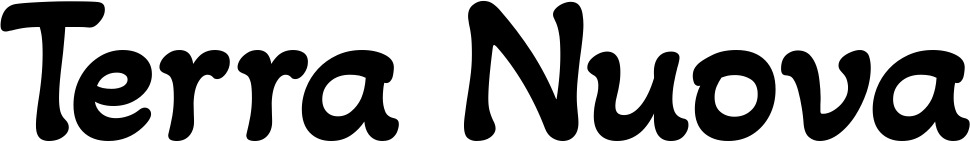Vorschau des Bootsnamens "Terra Nuova" als Schriftzug für "Bootsbeschriftung Klassisch 103"