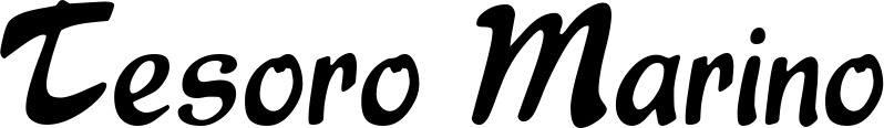 Vorschau des Bootsnamens "Tesoro Marino" als Schriftzug für "Bootsbeschriftung Klassisch 15"