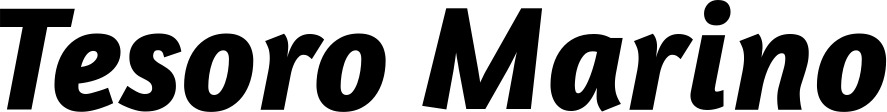 Vorschau des Bootsnamens "Tesoro Marino" als Schriftzug für "Bootsbeschriftung Kursiv 01"