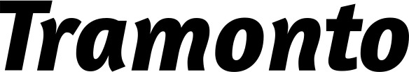 Vorschau des Bootsnamens "Tramonto" als Schriftzug für "Bootsbeschriftung Kursiv 01"