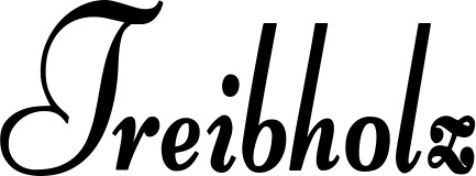 Vorschau des Bootsnamens "Treibholz" als Schriftzug für "Bootsbeschriftung Klassisch 76"